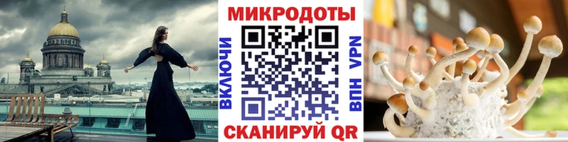 Галлюциногенные грибы мухоморы наркота Юрга